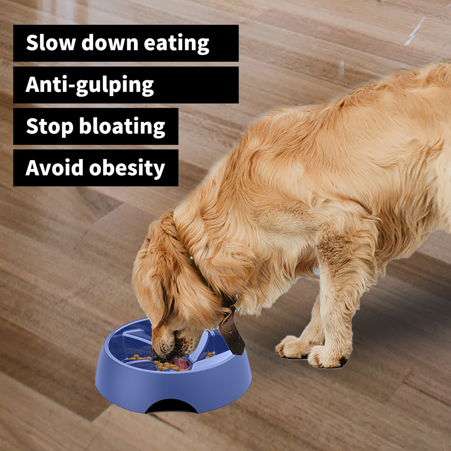 dog bowls for fast eaters