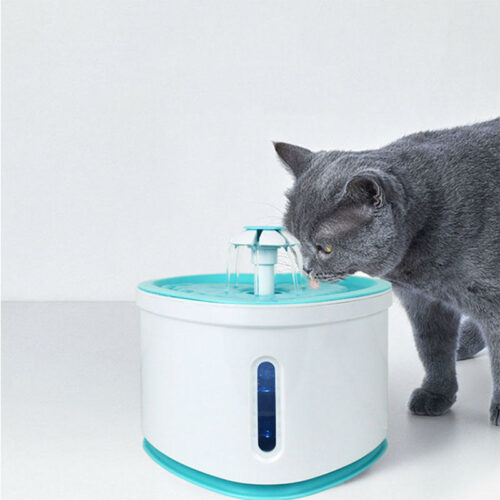 cat water fountain large capacity