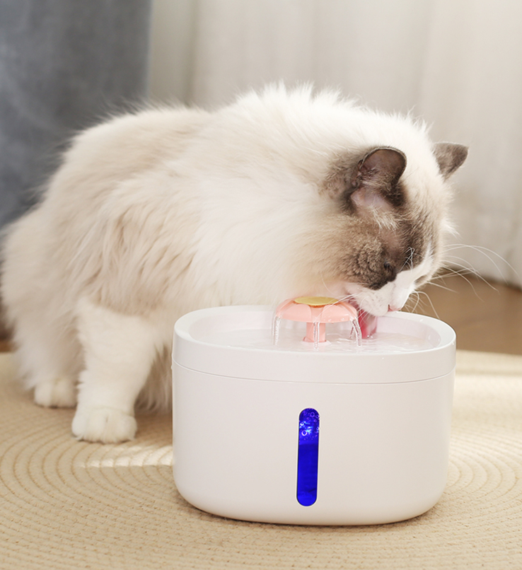 automatic cat drinking fountain