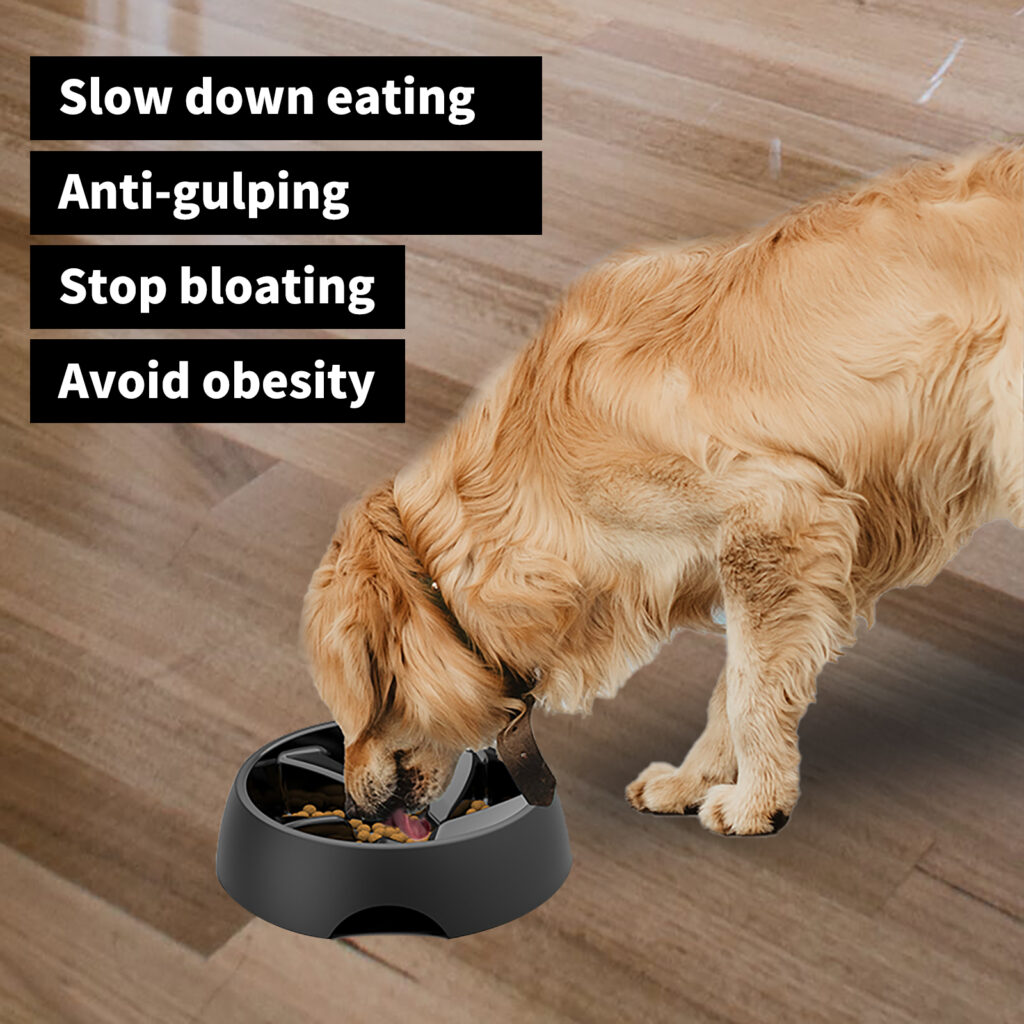 dog food bowl slow feeder