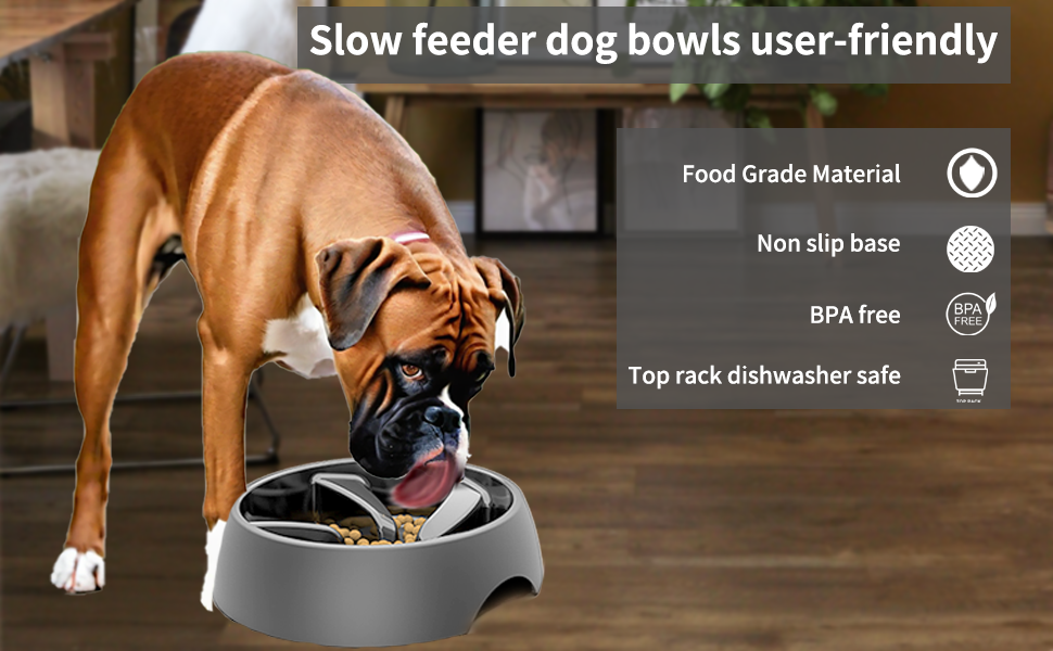 dog slow feeder bowl large breed