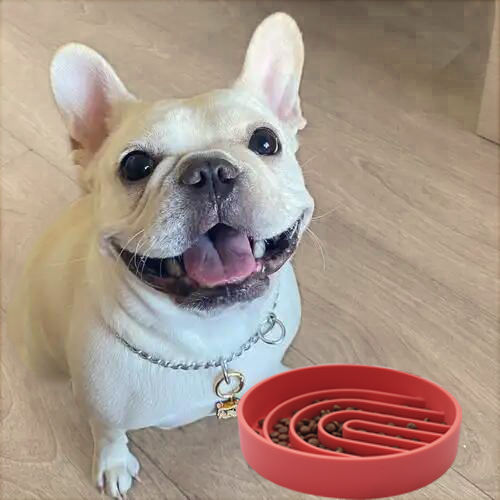 puppy slow feeder bowl small dog mini