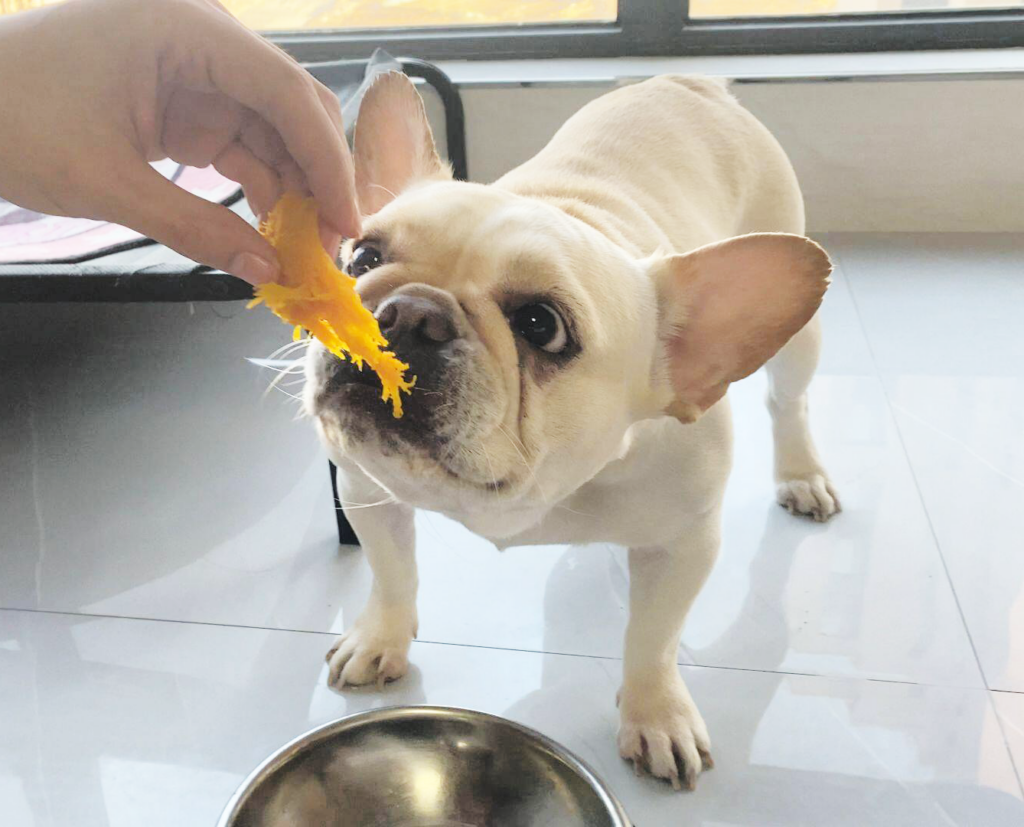 dog bowls for fast eaters