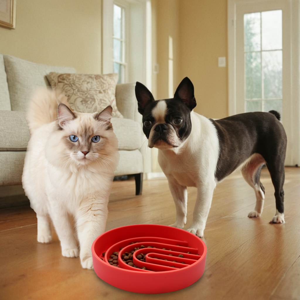 small dog slow feeder bowl