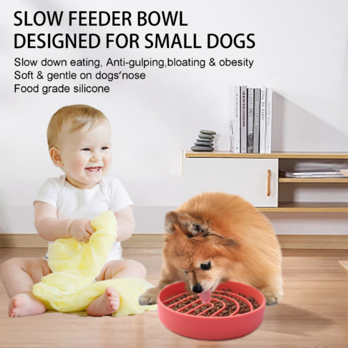 small dog slow feeder bowl mini